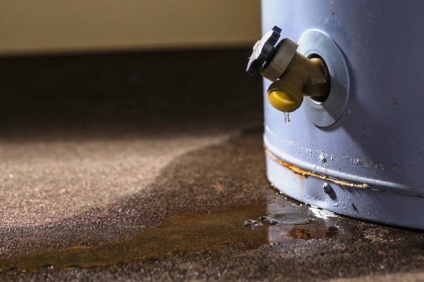  Mount Sterling, OH Water damage restoration Pros