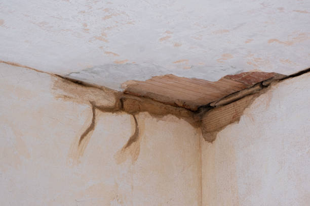 Best Professional water damage repair  in Mount Sterling, OH