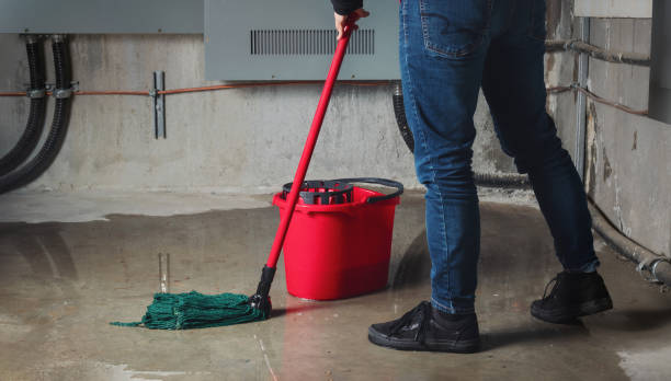 Best Flooded house restoration  in Mount Sterling, OH