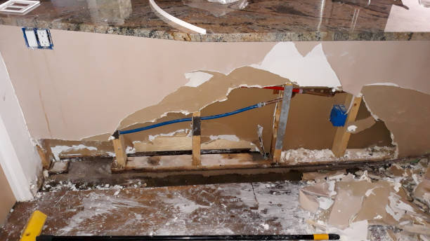 Best Mold removal after water damage  in Mount Sterling, OH