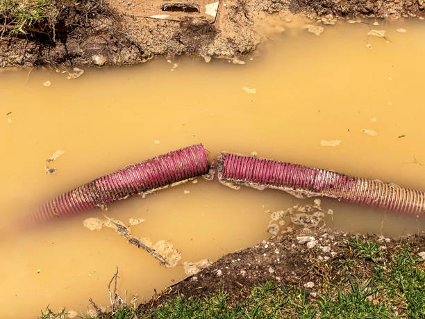 Best 24/7 water damage repair  in Mount Sterling, OH